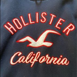 navy blue holis tee hoodie